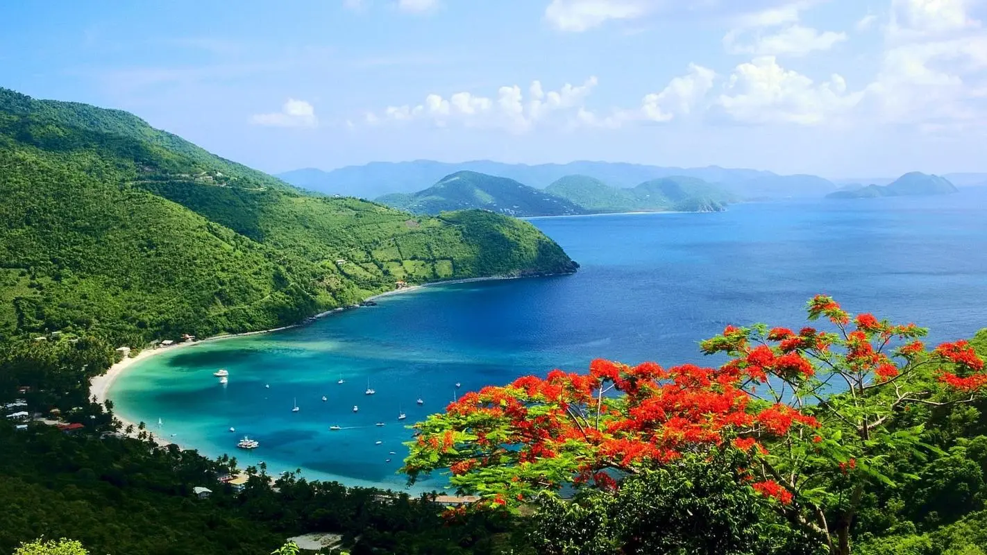 自动化高性能高精度